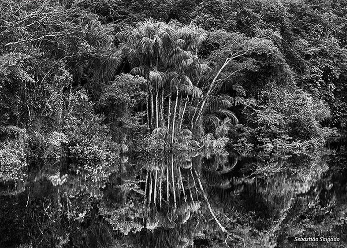 illy-sebastiao-salgado