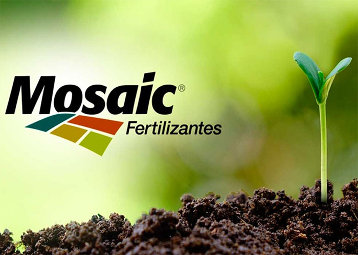 mosaic-fertilizantes