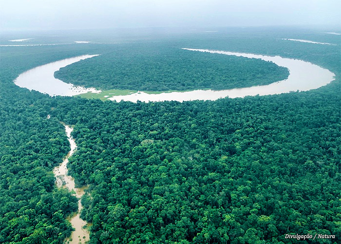 natura-certificada-carbono