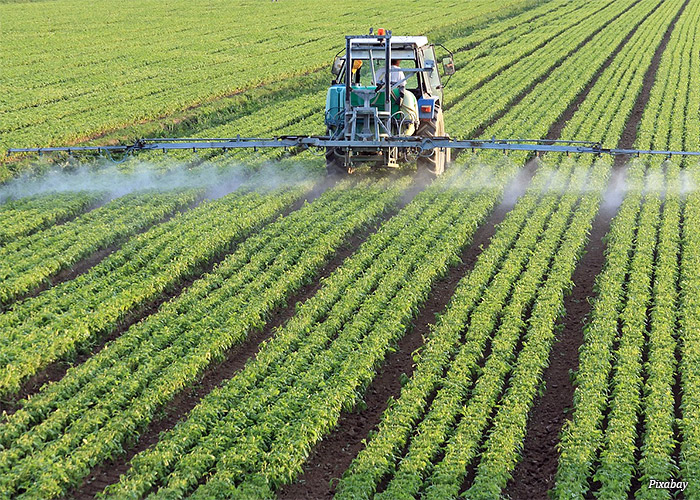 plantacao-agricultura