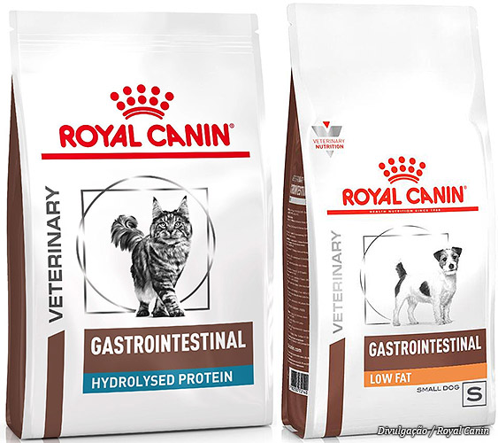 racoes-pet-royal-canin