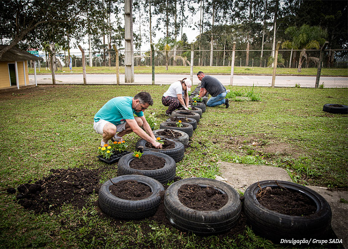 dia-voluntariado