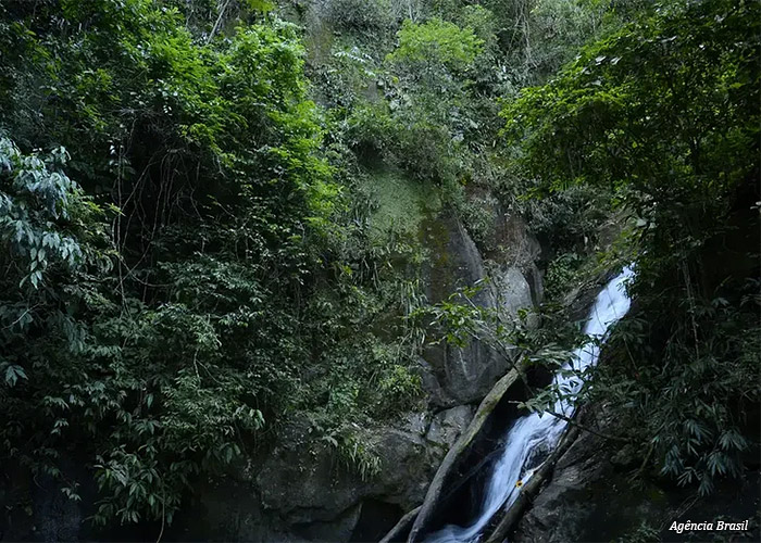 laboratorio-natureza