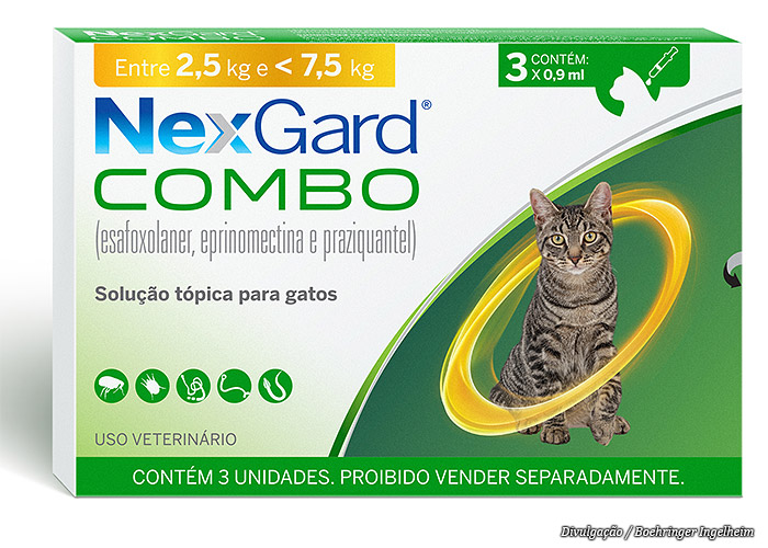 nexgard-felinos