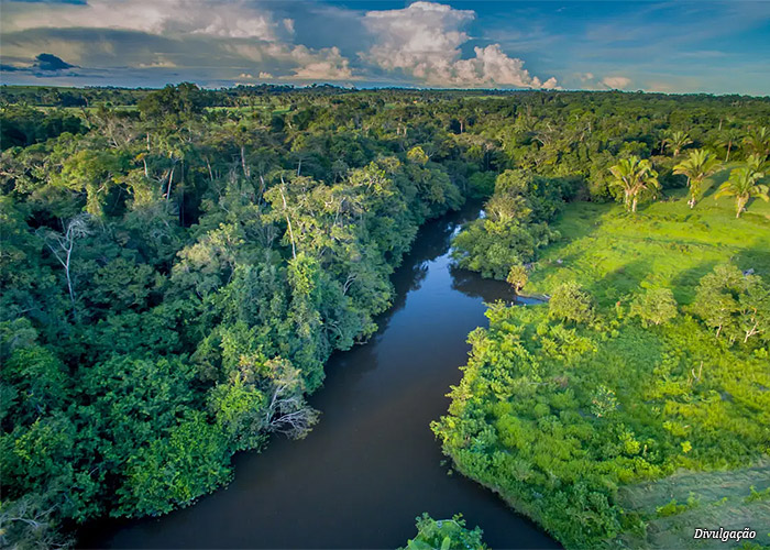 restaura-amazonia