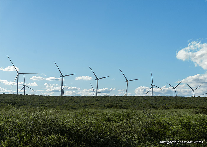 eolicas-serra-do-tigre