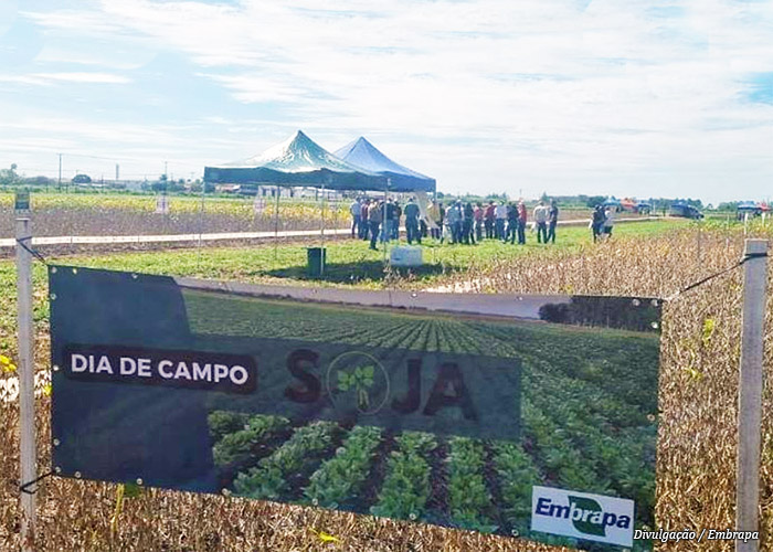 dia-campo-embrapa-rondonia