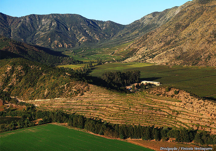 vinicola-ventisquero